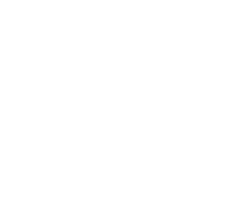 Icon Benefit Fahrradleasing