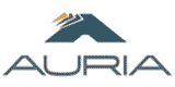 Auria Solutions GmbH